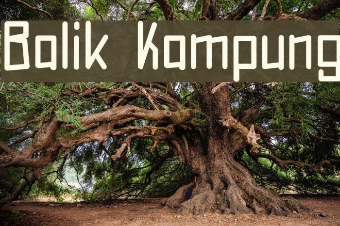 Balik Kampung Font examples