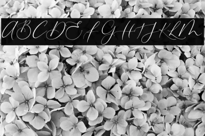 Baliland Font examples