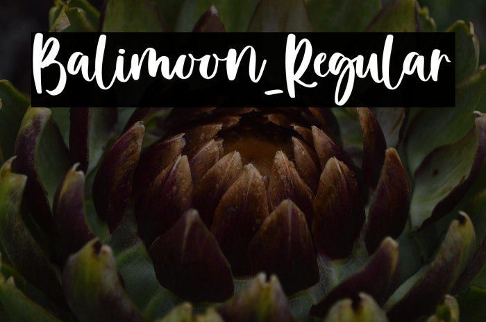 Balimoon-Regular Example 2