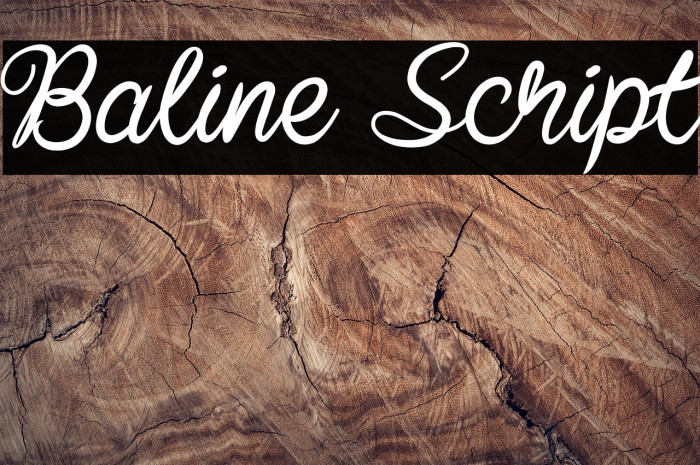 Baline Script Font examples