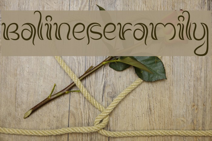 BalineseFamily Example 3