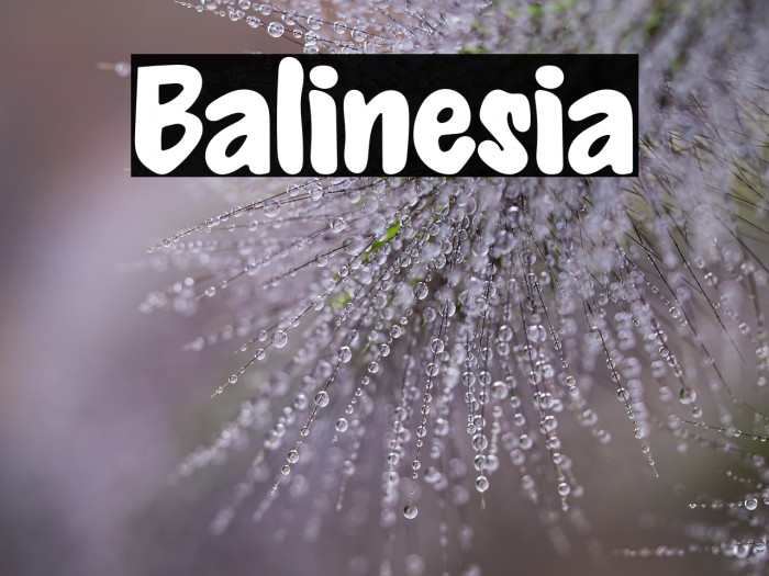 Balinesia Example 1