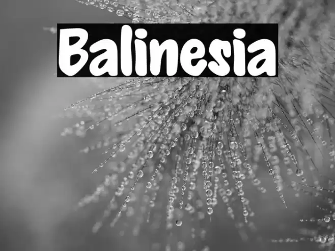Balinesia Font examples