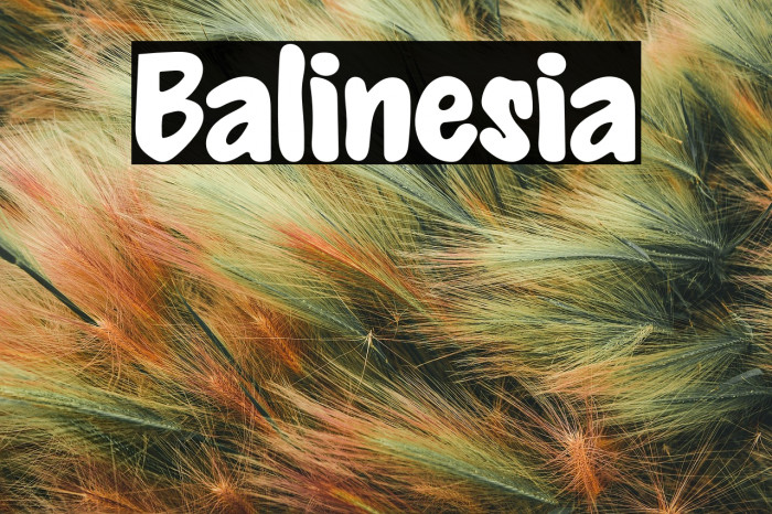 Balinesia Example 3
