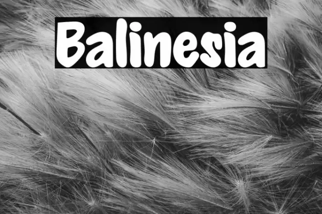 Balinesia Font examples