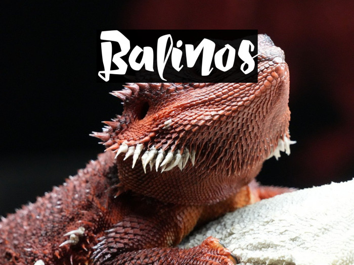 Balinos Example 3