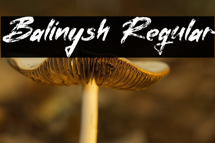 Balinysh Regular Example 1