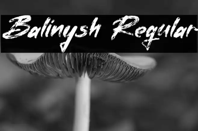 Balinysh Regular Example 1