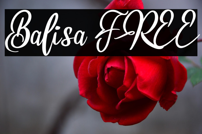 Balisa FREE Example 3