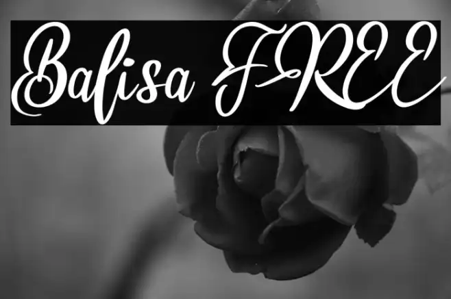 Balisa FREE Example 3