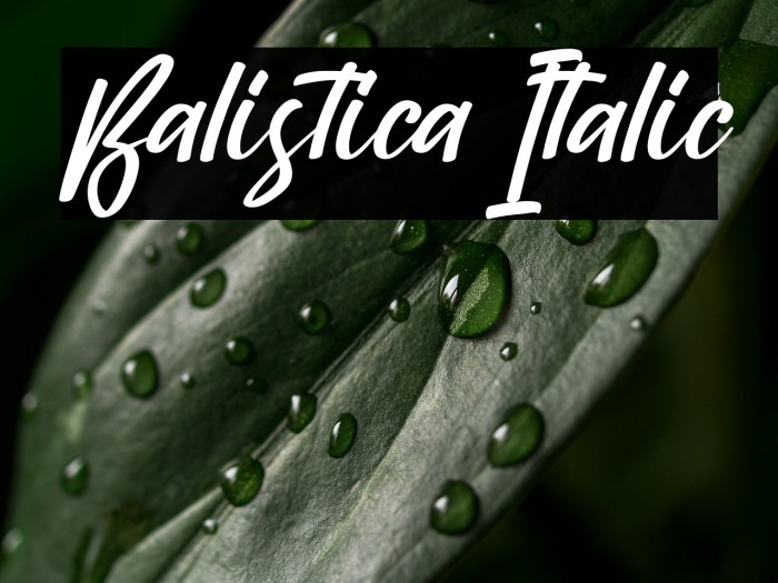 Balistica Italic Example 1