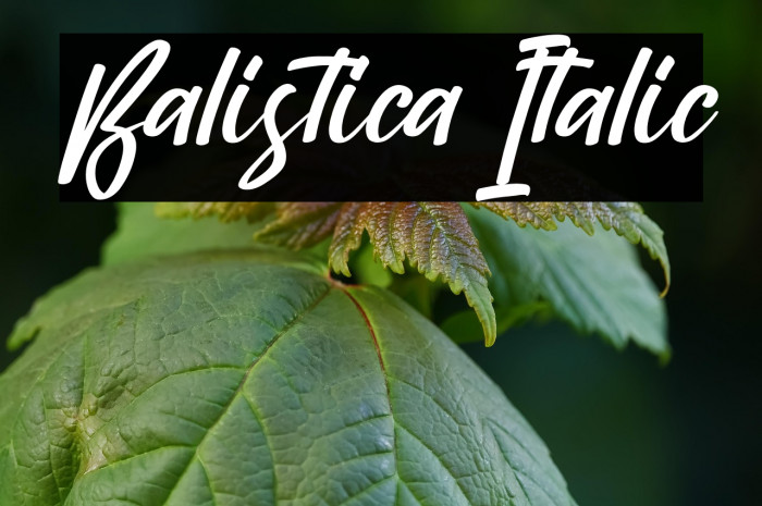 Balistica Italic Example 2