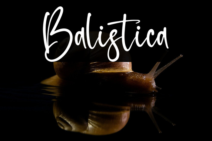 Balistica Example 1