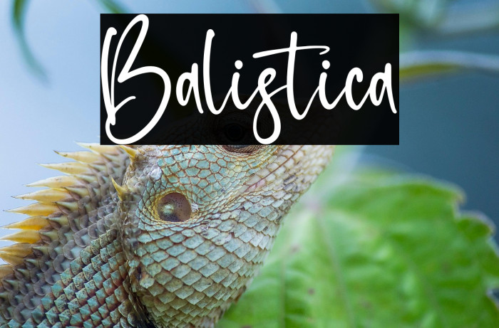 Balistica Example 3