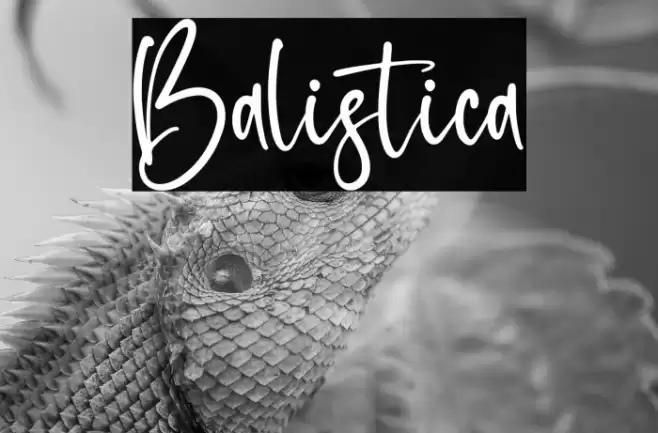 Balistica Font examples
