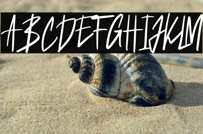 BalistikFREE Example 2