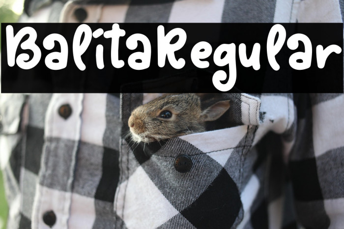 BalitaRegular Example 2