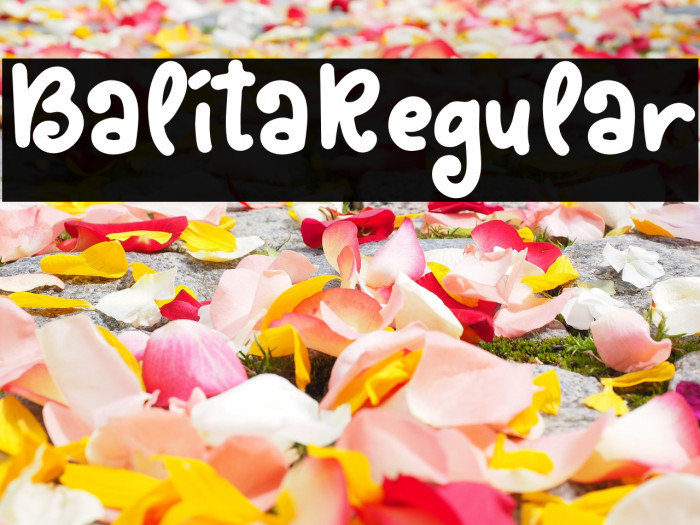 BalitaRegular Example 3