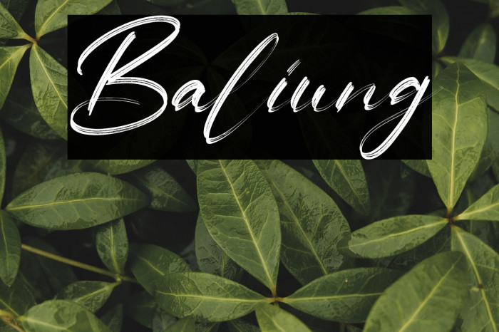 Baliung Example 1