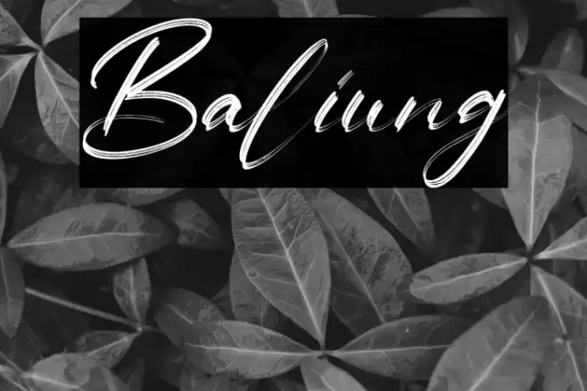Baliung Font examples