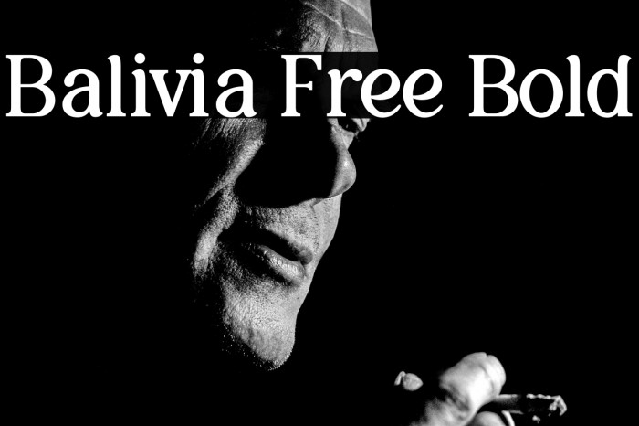 Balivia Free Bold Example 1