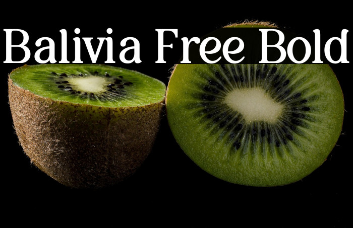 Balivia Free Bold Example 2
