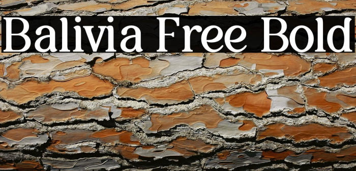Balivia Free Bold Example 3