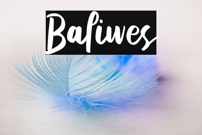 Baliwes Example 2
