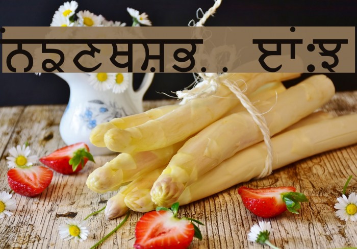 Baljit Medium フォント examples