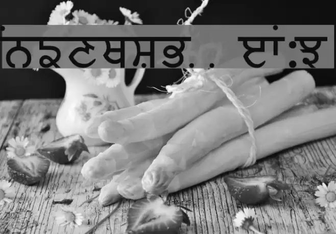 Baljit Medium フォント examples