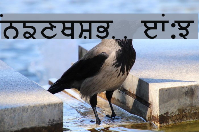 Baljit Medium フォント examples