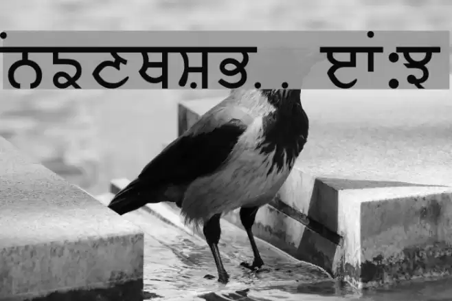 Baljit Medium フォント examples