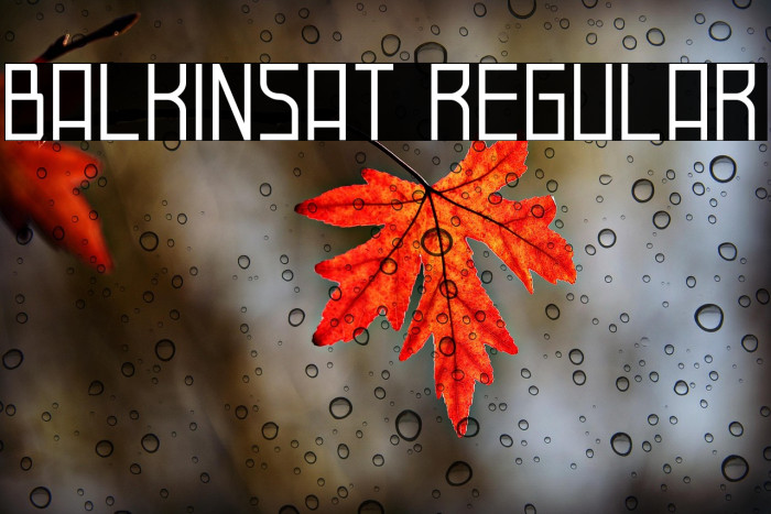 Balkinsat Regular Example 1