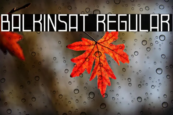 Balkinsat Regular Example 1