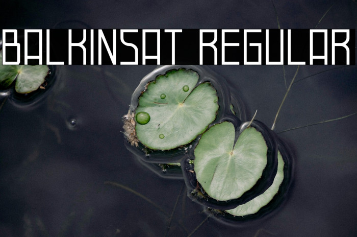 Balkinsat Regular Example 2