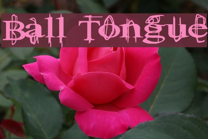 Ball Tongue Font examples