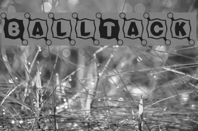 BallTack फ़ॉन्ट examples