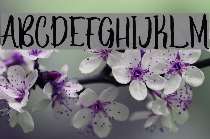 Balladaduo Font examples