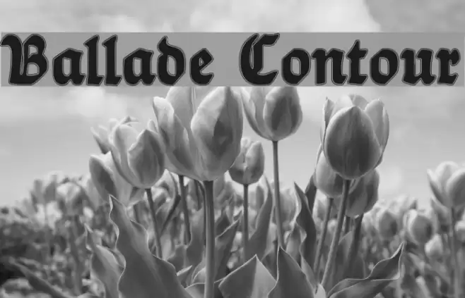 Ballade Contour Font examples
