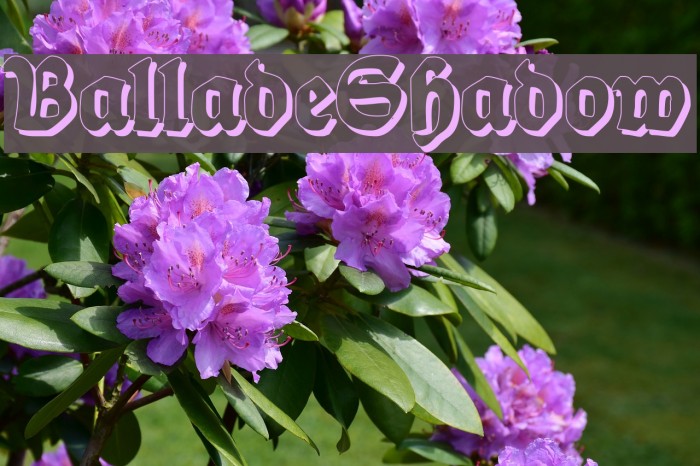 BalladeShadow Font examples