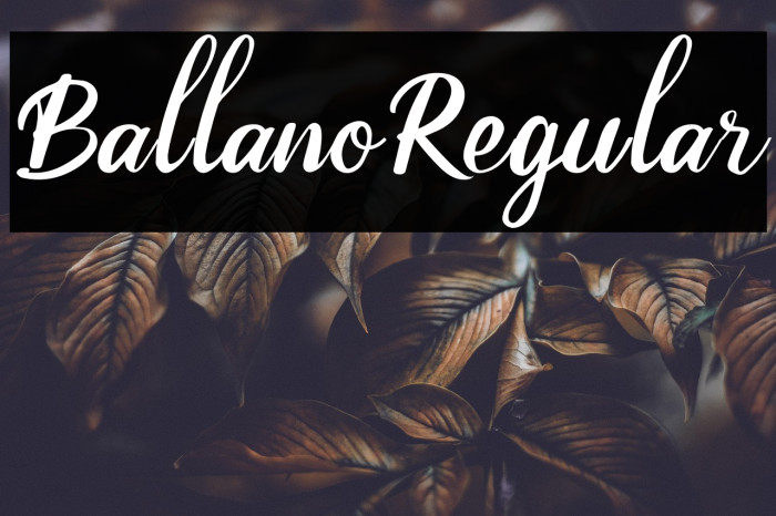 BallanoRegular Example 3