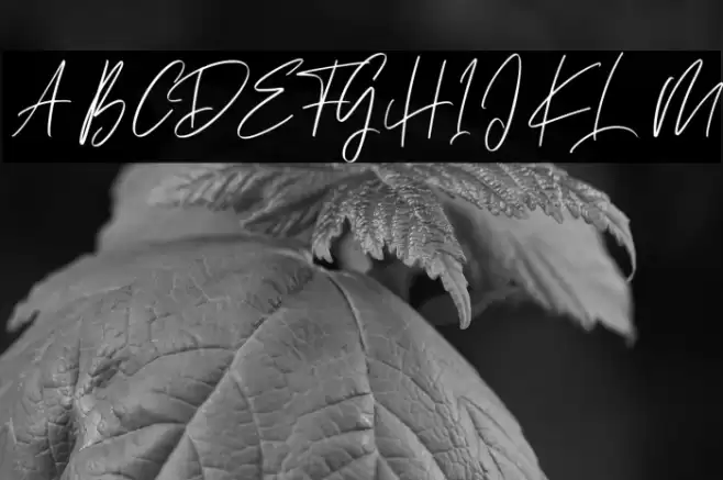 Ballarat Font examples