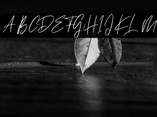 Ballarat Font examples