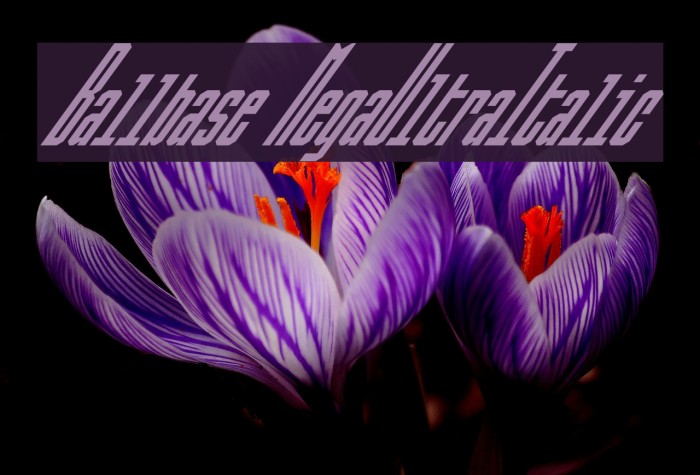 Ballbase MegaUltraItalic फ़ॉन्ट examples
