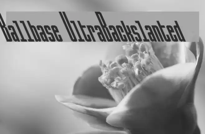 Ballbase UltraBackslanted फ़ॉन्ट examples