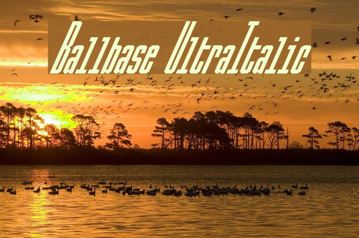 Ballbase UltraItalic Font examples