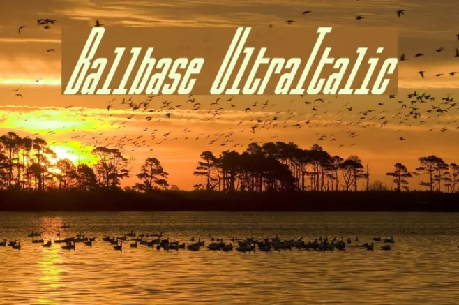 Ballbase UltraItalic Example 3