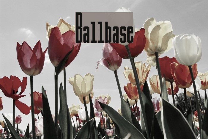 Ballbase Font examples