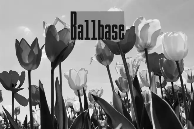 Ballbase Example 2