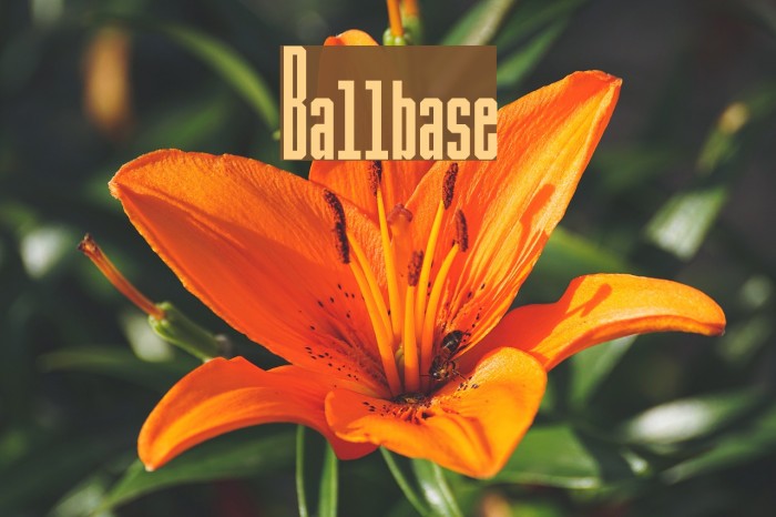 Ballbase Font examples
